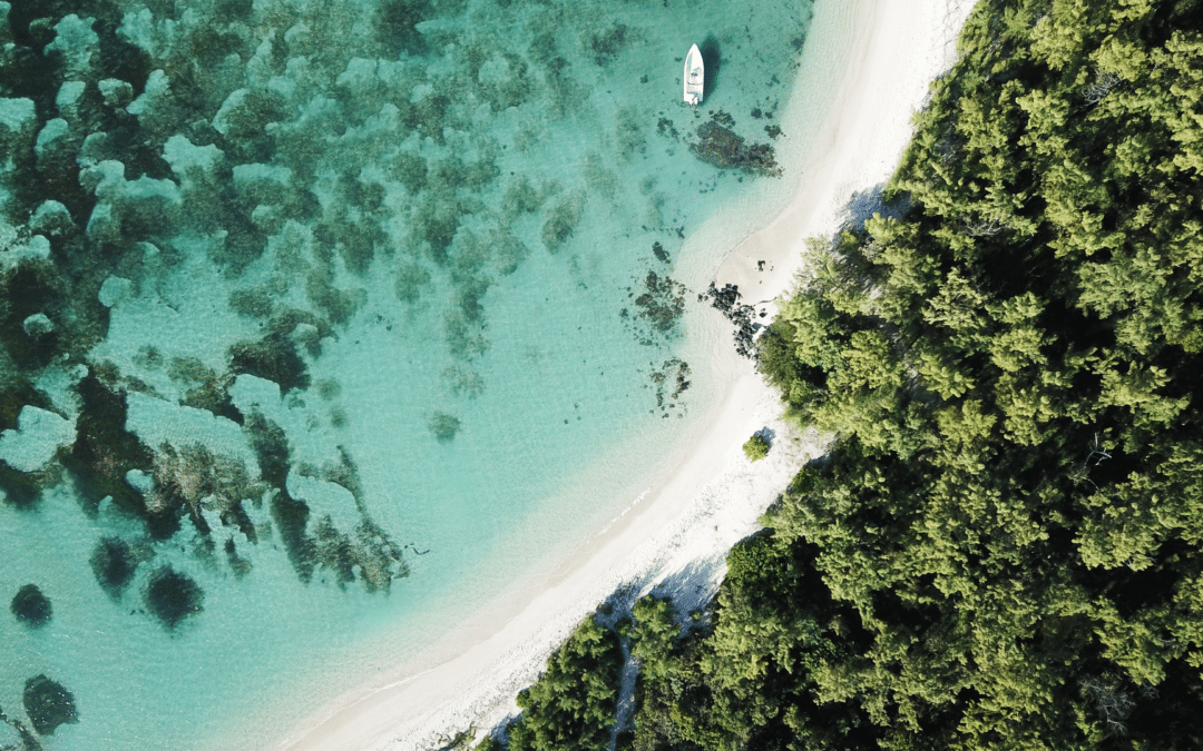 Souccot en bord de mer : Vivre la fête en harmonie avec la nature