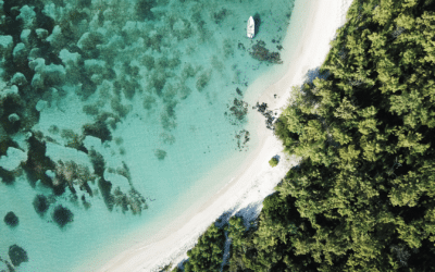 Souccot en bord de mer : Vivre la fête en harmonie avec la nature